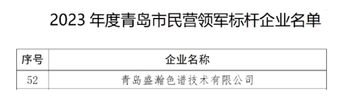 喜訊 | 盛瀚入選2023年度市民營領(lǐng)軍標(biāo)桿企業(yè)名單